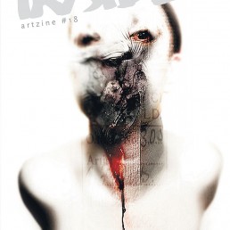 INSIDE artzine 18, Cover, smashed face